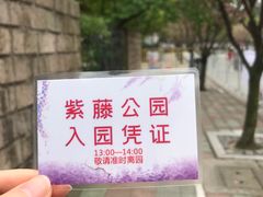-嘉定紫藤园