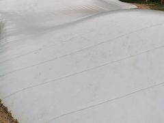 -西部长青自然儿童乐园