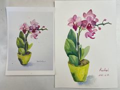 -六出私塾LiuChu•成人美术书法系统课程专业画室(熊婆婆的花园店)