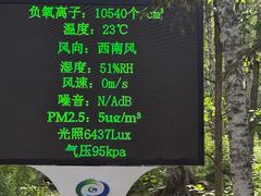 -汤旺河林海奇石景区