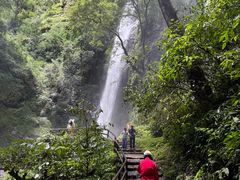 -莫里热带雨林景区