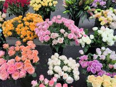 -循礼门鲜花花市(武汉循礼门店)