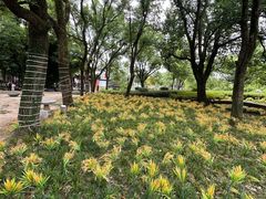 -东坡赤壁风景名胜区