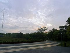 -福田红树林生态公园