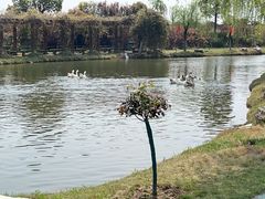 -木兰水镇旅游景区