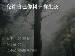 -曼朗心理咨询·旗舰店