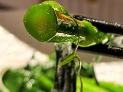 -星·South Beauty·俏江南(国贸店)