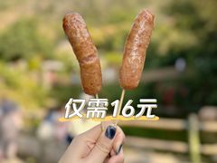 -青青世界