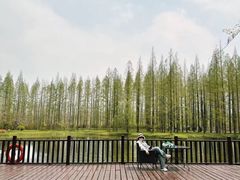 -黄海国家森林公园