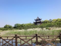 -上海海湾国家森林公园