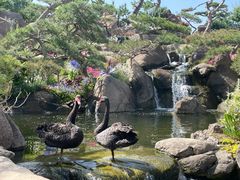 -罗红摄影艺术馆