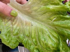 -石记东北风味烤肉(系马桩第二分店)