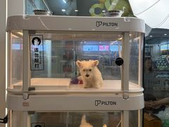 -翊宠yipet猫狗购宠庄园