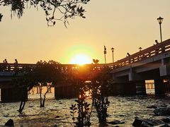 -宝安西湾红树林湿地公园