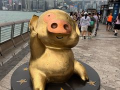 -星光大道