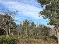 -思念果岭悦温泉