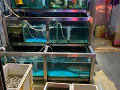 水产区-丰尔粥食·粥底火锅·桑拿鸡(大良总店)