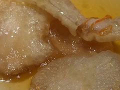-鸽子窝(宋庄店)