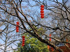 -乌山风景区