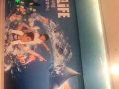 -沈阳海洋探索中心