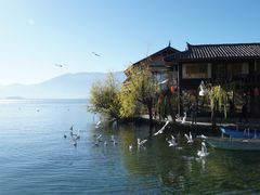 -泸沽湖里格半岛