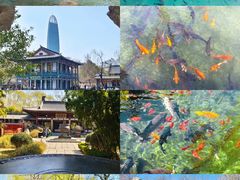 -老济南·地道济南菜(大明湖店)