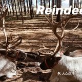 自驾内蒙乌兰布统 只有感悟的旅行🧳