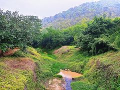-大雁山风景区
