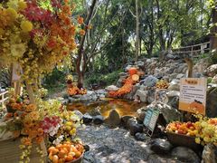 -湖泉半山温泉(湖泉生态园)