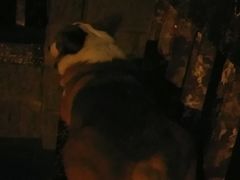 -棒棒鸡传奇(解放路店)