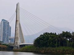 -厦门园林博览苑