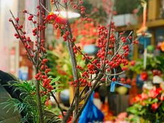 -双季花艺园艺市场(浦东店)