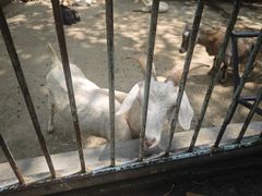 -广东茂名森林公园