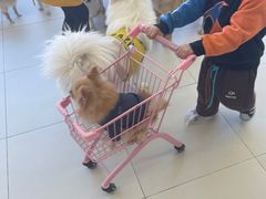 -怪兽屋·羊驼·猫咖·狗咖(俊华广场店)