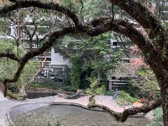 -saigon saigon | 西贡西贡(滨北店)