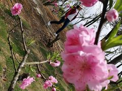 -许家山