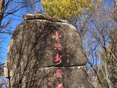 -汤旺河林海奇石景区