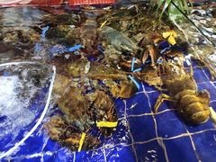 蒜酱烤波龙-79号渔船海鲜饭店(华强北店)