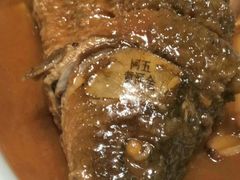 -阿五黄河大鲤鱼(海尚店)
