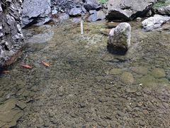 -雁荡山三折瀑景区