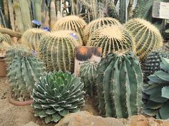 -国家植物园南园