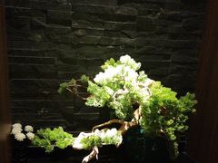 -臻享养生·SPA·影院式足道(汇臻店)