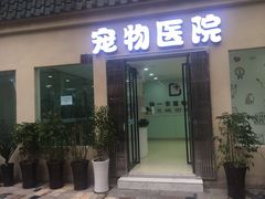 -特一安24小时宠物医院·骨科·中兽医