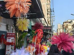 -溪岸路花鸟市场