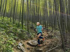 -陶祖圣境风景区