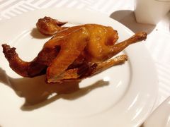 -琬苑鸽庄·川粤融合菜(解放碑总店)