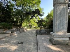 -近春园遗址