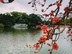 -东山湖公园
