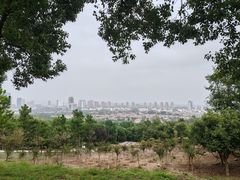 -南京市江宁方山