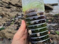-大连金石滩国家旅游度假区